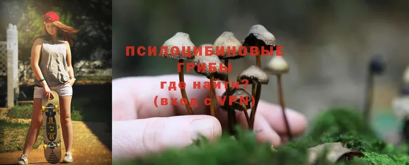 Псилоцибиновые грибы MAGIC MUSHROOMS  mega ТОР  Карабаш 